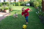 Fu&szlig;ball...!