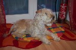 Hier ist's bequem