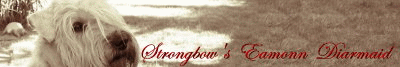 Unser gro&szlig;es Banner (400 x 67 Pixel) Nimm's mit...!